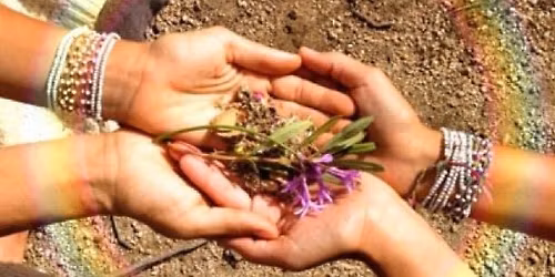 Biodanza e Comunicazione Nonviolenta