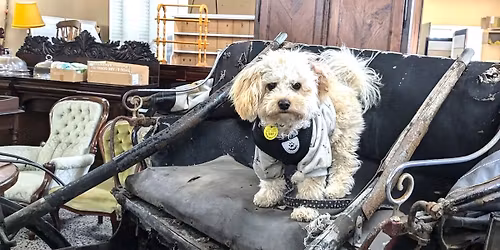 Kyneton Auctions Paranormal Investigation