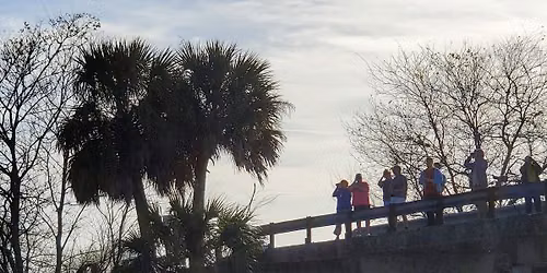 NORTH SHORE BIRDING FESTIVAL