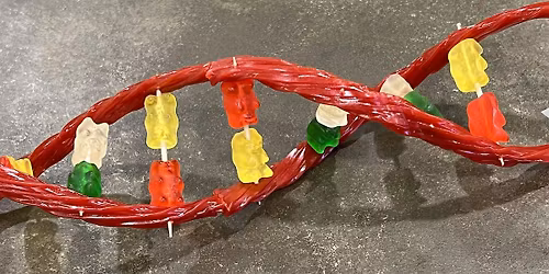 Saturday DNA! NYC - Sweet Genes