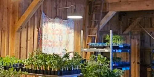 8th Annual Plant Sale. 