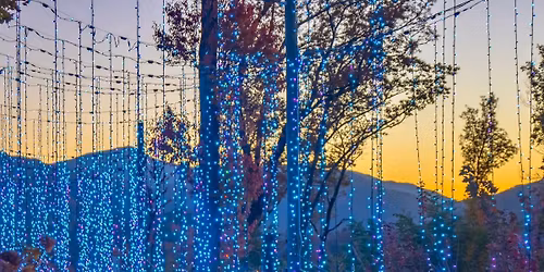 \ud83c\udf04\ud83c\udf3fAnakeesta Adventure Getaway in Gatlinburg, TN $149 Per Couple