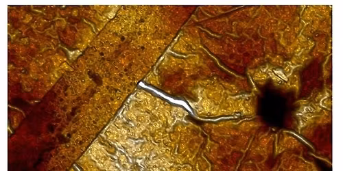 London Centre for Nanotechnology AFM user meeting