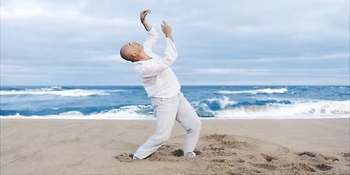 Mokomasis \u0161okio ir judesio terapijos kursas su Aleksandru Gir\u0161onu