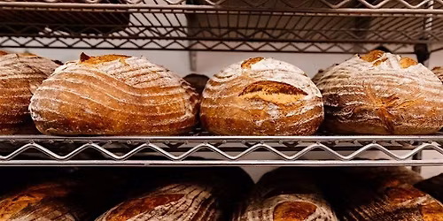 Sourdough Basics