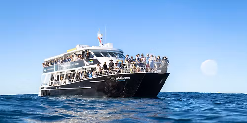 New Year's Eve Adult's Only Cruise