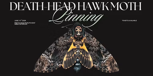 Death-Head Hawk Moth Pinning Workshop - Abbotsford, BC