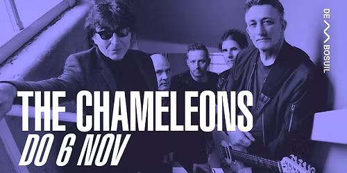 The Chameleons I De Bosuil