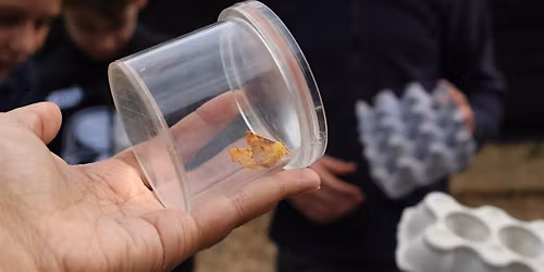 Testwood Lakes Wildlife Rangers