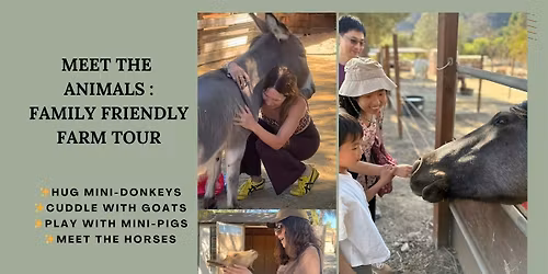 MEET THE ANIMALS KID FRIENDLY FARM TOUR : HUG DONKEYS, GOATS, HORSES + PIGS