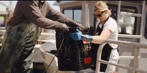 Dockside Crab Sales at Fisherman's Wharf!