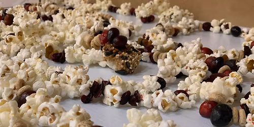 BEST Volunteer: Wildlife Friendly Holiday Decorations