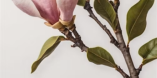 Mother\u2019s Day Event