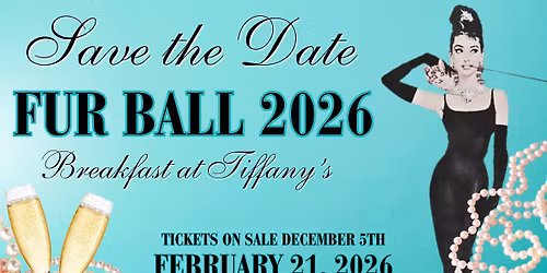Fur Ball 2026: Breakfast at Tiffany's