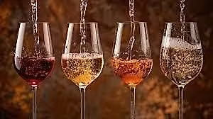 Wine Tasting - Tethered