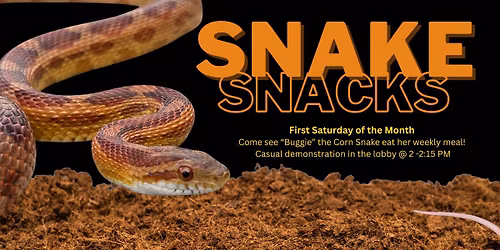 Snake Snacks, Feeding Demonstration