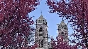 Cherry Blossom Walking Tour in Branch Brook Park