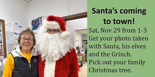 Hinrichs Family Christmas Trees