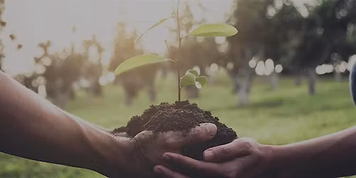 Niagara Parks Community Tree Planting Day 2025