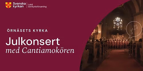 \ud83c\udfb6 Julkonsert med Cantiamok\u00f6ren \ud83c\udfb6