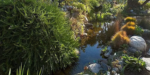 Saturday in the Garden: Gottlieb Native Garden