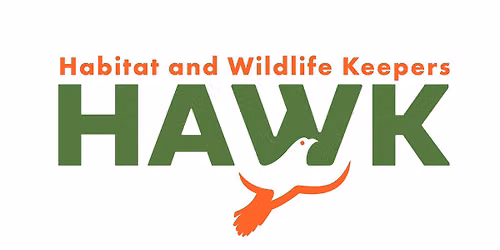 Invasive Plant Removal-Squirrel Lake Park