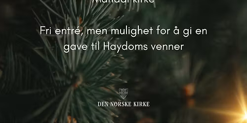 Vi synger julen inn- hele byens julekonsert