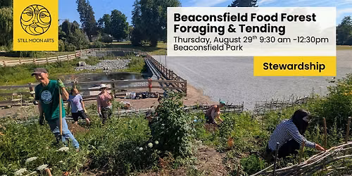 Beaconsfield Park Food Forest Session