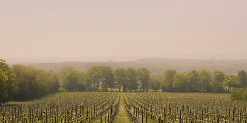Faglig kurs: musserende vin og glass fra Riedel