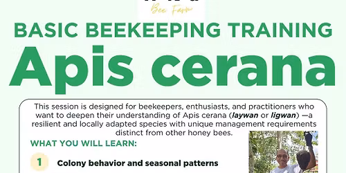 Basic Beekeeping Training for Apis cerana (Laywan\/Ligwan)