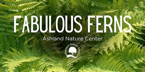 Fabulous Ferns ~ Ashland Nature Center