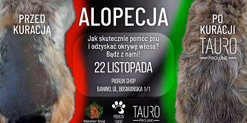 ALOPECJA \u2013 JAK SKUTECZNIE POM\u00d3C PSU I ODZYSKA\u0106 OKRYW\u0118 W\u0141OSA