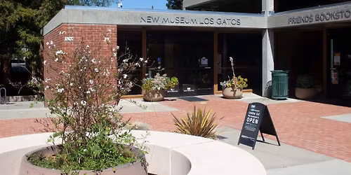 New Museum Los Gatos - Junior Drawing