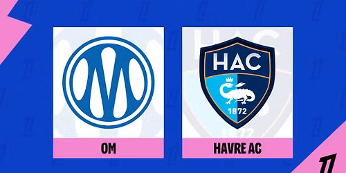 Marseille vs Le Havre at Stade Velodrome (Orange Velodrome) Marseilles
