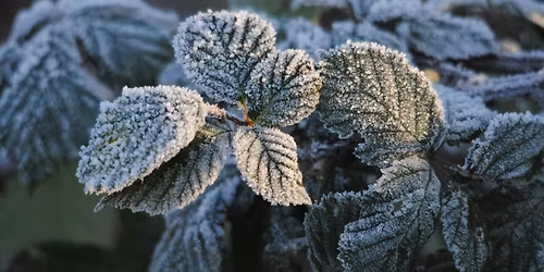 NWT Sweet Briar Marshes: Frosty photos