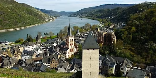Introduction to Rheinland Riesling