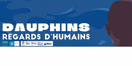 \u00ab Dauphins : regards d\u2019Humains \u00bb : film \u00e0 Cosquer M\u00e9diterran\u00e9e.