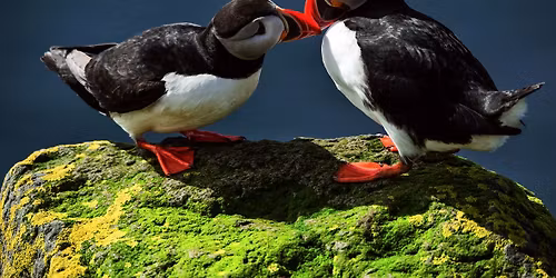 Ji\u0159\u00ed Kolbaba: Sedm div\u016f Islandu