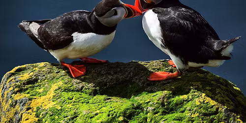 Ji\u0159\u00ed Kolbaba: Sedm div\u016f Islandu