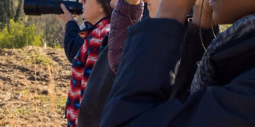 Birdwatching at Dix Park