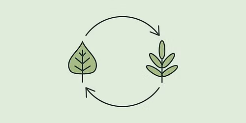 Summer Houseplant Swap