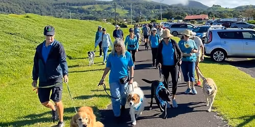 PAWS of Hope - 2.5k Pet Walk