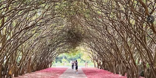 Dallas Arboretum Mommy and Me Day