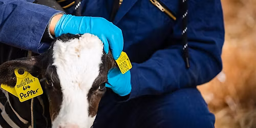 Agriculture Courses Open Day: FE, Fri 13th March: 10am, 12noon, 2pm, & 4pm