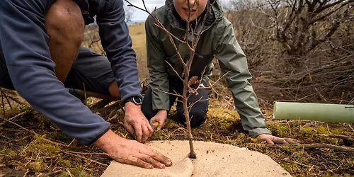 Tree planting revisit with Moor Trees at Staverton
