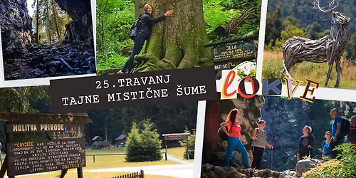 Tajne misti\u010dne \u0161ume - vo\u0111eni obilazak