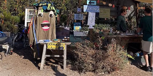 Fall Fest at the Nursery