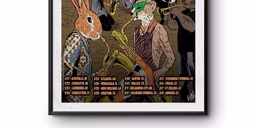 Too Many Zooz
