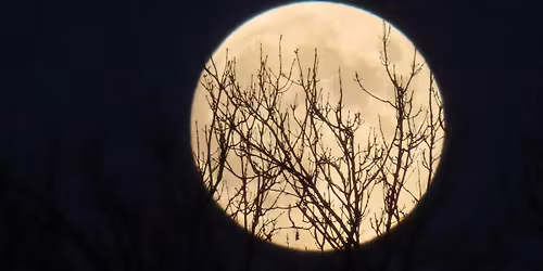 Guided Full Moon Meditation - The Cold Moon!