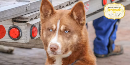 Dog Sled Demonstrations